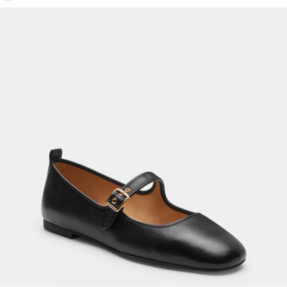 Coach flats
